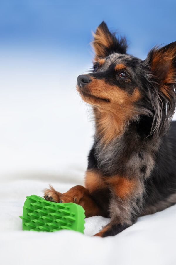 pet+me Pflegebürste Soft – Langhaar (Grün)