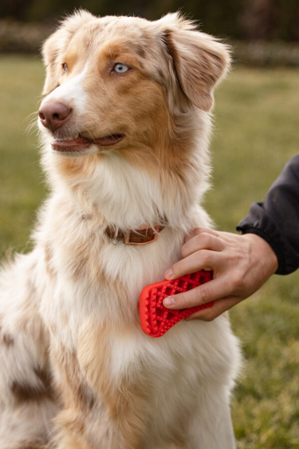 pet+me Pflegebürste Firm (Rot)